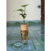 Ống tre tự nhiên trồng cây, sen đá, tiểu cảnh , decor trang trí vintage, chậu tre, khúc tre, cốc tre trồng cây