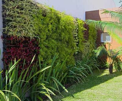 THIẾT KẾ THI CÔNG Vườn đứng ngoài trời