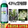 Thuốc diệt nấm Tebuconazole 43% (dạng huyền phù/SC)