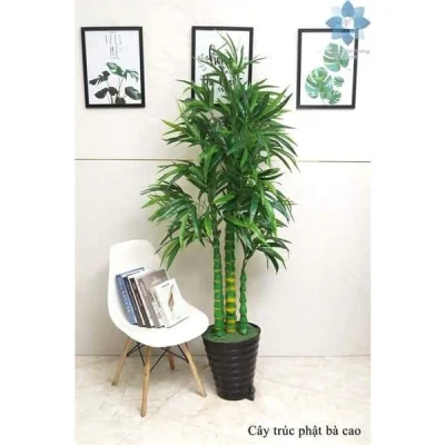 Chậu cây trúc phật bà giả trang trí nhà cửa