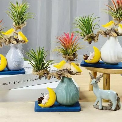 CÂY KIỂNG LÁ , CÂY PHONG THỦY  MINI ĐỂ BÀN "  CÂY KHÔNG KHÍ  BONSAI MINI " NHẬP KHẨU