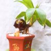 chậu dừa bonsai mini 1 thân CHỮ : TÂM -TÀI - LỘC - ĐỨC - PHÚC -THỌ - NHẪN - cực nhiều mẫu - ảnh thật - trang trí bàn làm việc hay làm quà tặng tân gia, ngày Tết...