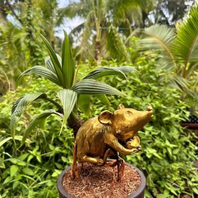 Dừa bonsai mini hình thú - 12 con giáp