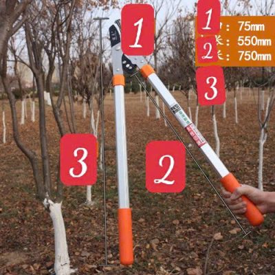 Kéo Kìm cắt tỉa cành cây Cộng Lực Có Tăng Độ Dài Cán SK-5- NNTM- chuẩn đẹp