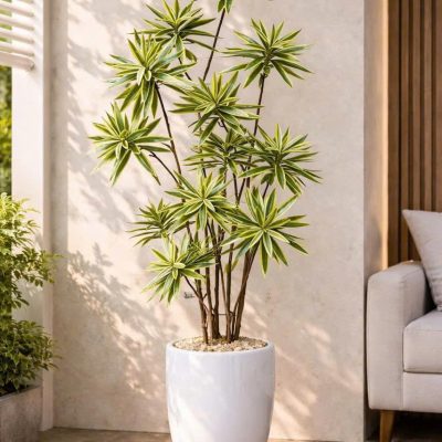 Cây trúc bách hợp, thủy trúc giả decor , trang trí y như thật
