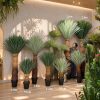 Cây chà là siêu vip, cau cảnh giả decor , trang trí y như thật đủ kích thước - hàng cao cấp loại 1