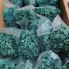 Cành hoa cẩm tú cầu khô – hàng loại 1 nhập khẩu - đủ màu