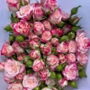 CHẬU HOA  HỒNG NGOẠI " Refractive Rose – Hồng Ngoại Sắc Màu Biến Ảo, Form Hoa Hiện Đại, Vẻ Đẹp Mới Lạ & Cuốn Hút "