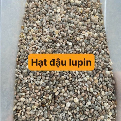 Hạt Giống Hoa Đậu Lupin Nhiều Màu – (Lupinus polyphyllus) nhập khẩu - 1kg