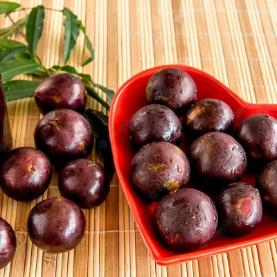 Cây giống " nho thân gỗ 12 vụ " (Jabuticaba đỏ)