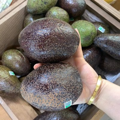 Cây Giống Bơ kim cương đen ( bơ sáp cổ kim cương đen)