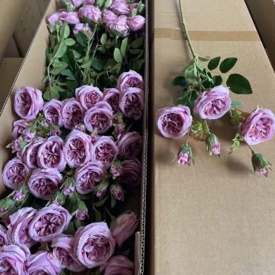 Cành hoa , cụm hoa hồng David - cành 3 bông 3 nụ đủ màu - cành dài đẹp