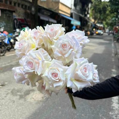 Cành hoa hoa hồng bông size to - cành dài đẹp đủ màu