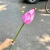 Cành hoa sen nụ 1 bông màu hồng