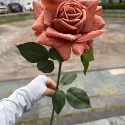 Cành hoa hồng cánh ướt 1 bông size to - đủ màu