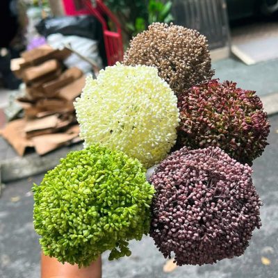Cành hoa bồ công anh 1 bông size to - đủ màu