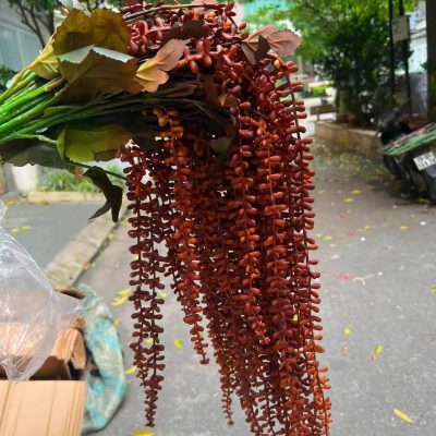 Cành hoa tiêu rủ đẹp - đủ màu