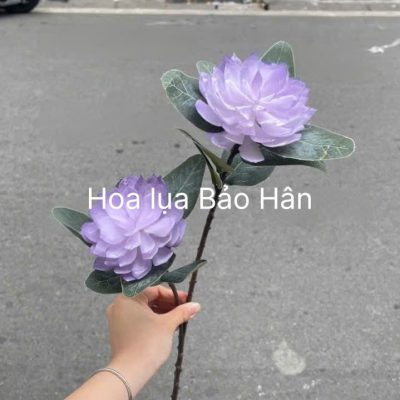 cành hoa sen đá màu 2 bông siêu thật - đủ màu