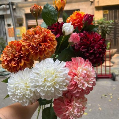 cành hoa Cúc tổ ong khô  - đủ màu