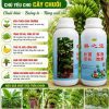 phân bón vi lượng chuyên cho cây chuối loại 1 lít - hỗ trợ kích thích sinh trưởng và lớn trái chuối - hàng nội địa trung- nhập khẩu