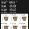 chậu nhựa giả đồng : chậu lục giác BG400 , BG500 , BG600 , BG 700 , BG800