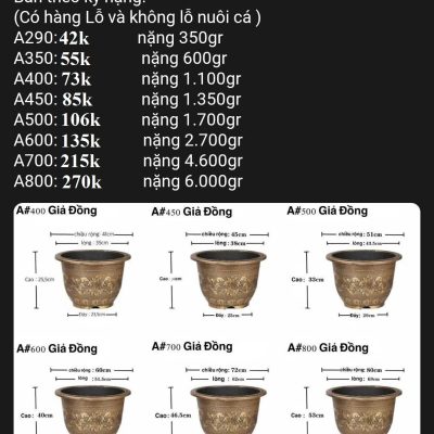 chậu nhựa giả đồng : chậu lục giác BG400 , BG500 , BG600 , BG 700 , BG800