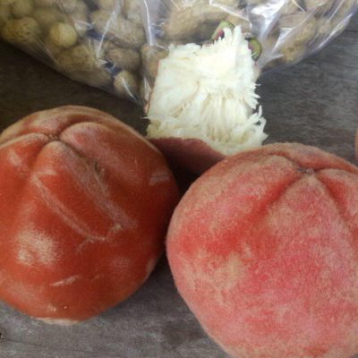 HẠT GIỐNG cây Đào Hồng Nhung (thị lông, táo nhung) -1kg