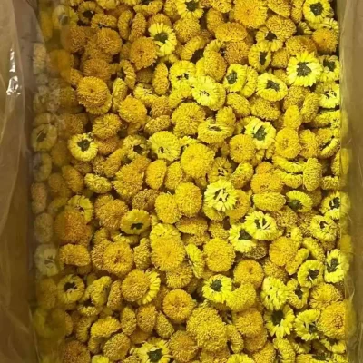 Trà hoa cúc (hoa cúc tiến Vua) sấy lạnh nguyên bông, hàng đẹp- 1KG