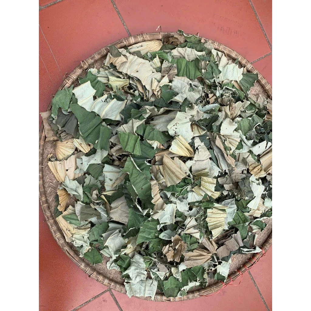 Lá sen khô hàng thơm xanh loại 1-1kg Lá sen khô hàng thơm xanh loại 1-1kg