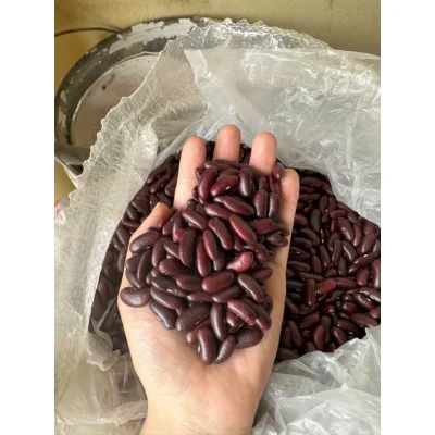 Đỗ Đỏ -ĐẬU ĐỎ Trồng Hữu Cơ Hạt Mẩy, Đều Hàng Loại 1-1kg