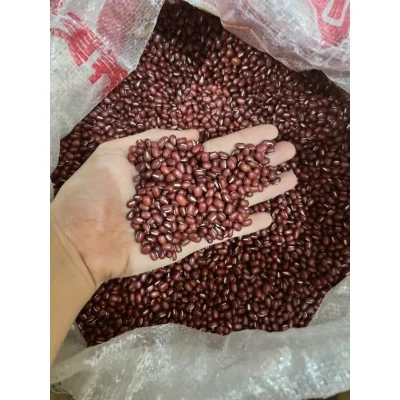 Đậu Đỏ Hạt Nhỏ Hữu Cơ Tự Nhiên Tròn Chắc Mẩy, Đỗ Đỏ Giàu Chất Xơ Tốt Cho Sức Khỏe - chuẩn loại 1 -1kg